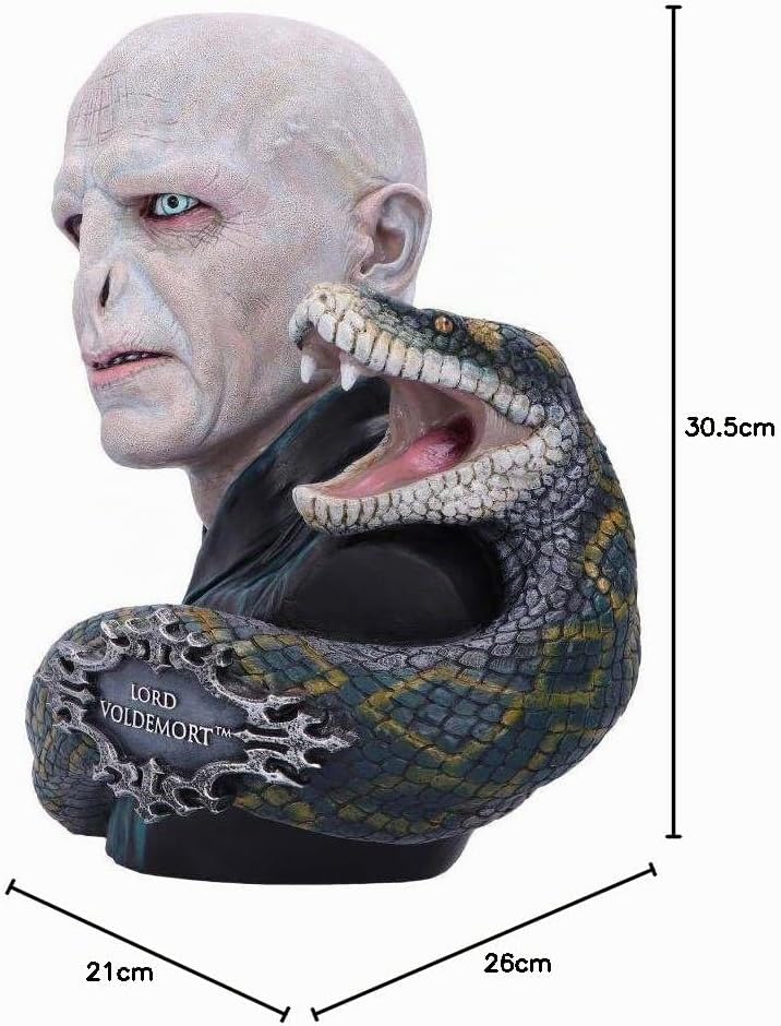 Nemesis Now Harry Potter Lord Voldemort-Busto 30,5 cm, Multicolore (B5792U1 - Image 6