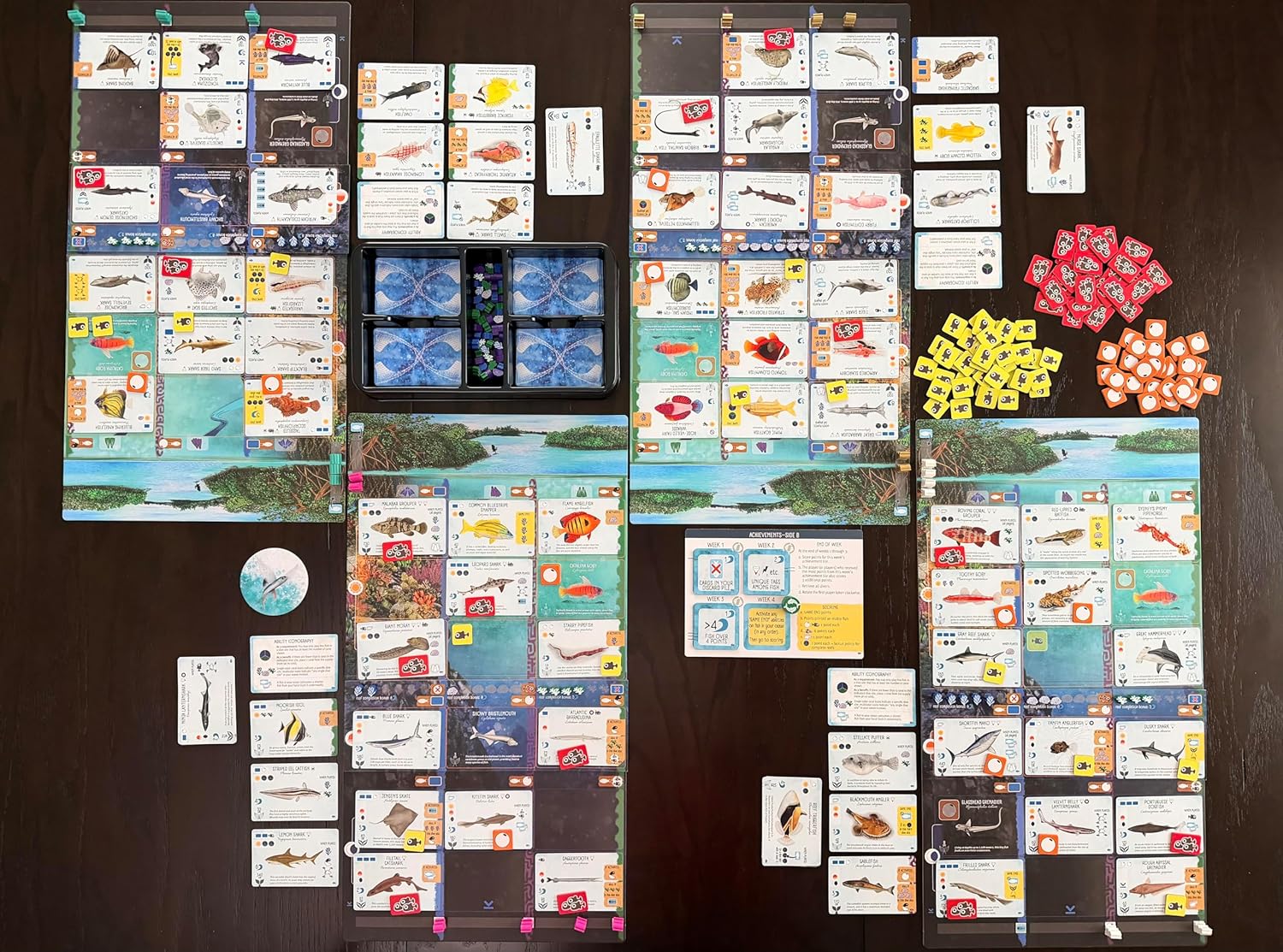 Stonemaier Games | Finspan: Sharks & Reefs | Board Game Expansion | Build a thriving reef with apex predators and unique fish. Expand your ecosystem. 1-5 players | 45-60 mins | Ages 10+ - Image 3
