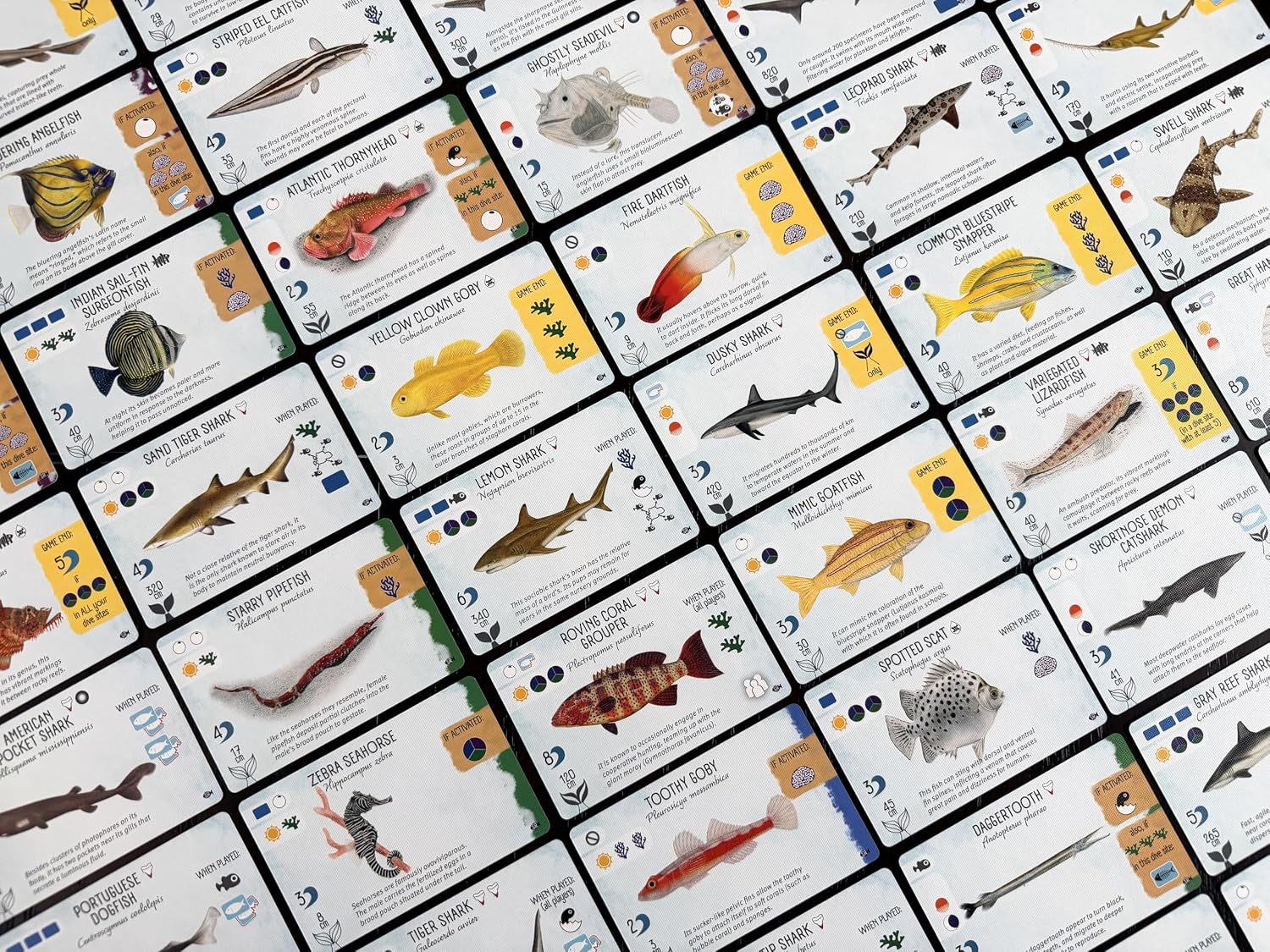 Stonemaier Games | Finspan: Sharks & Reefs | Board Game Expansion | Build a thriving reef with apex predators and unique fish. Expand your ecosystem. 1-5 players | 45-60 mins | Ages 10+ - Image 4