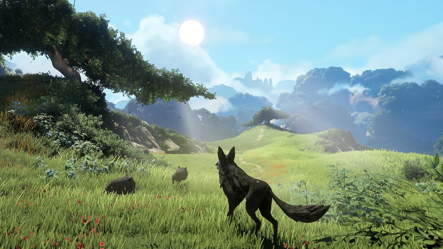 Lost Ember (Wolf Pack Edition) - Image 3