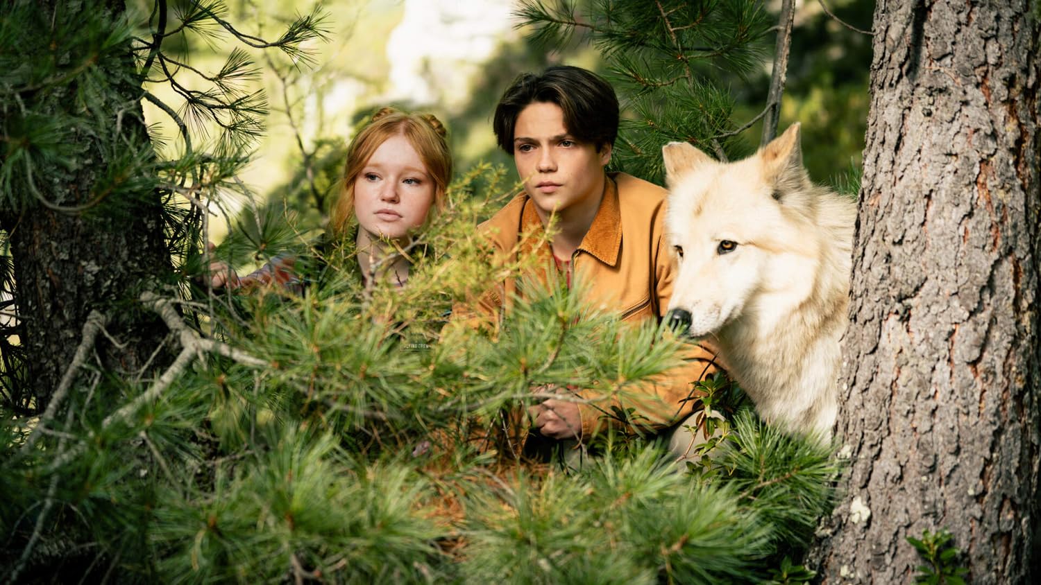 Woodwalkers 2 - Image 5