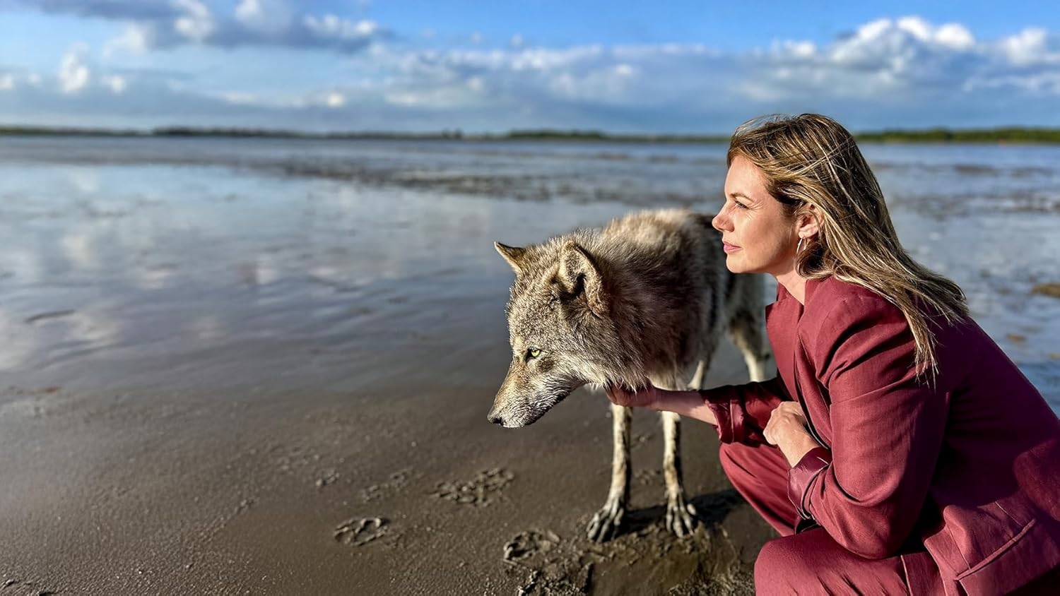 Neuer Wind im Alten Land 3: Der Wolf / Miss Altes Land - Image 6
