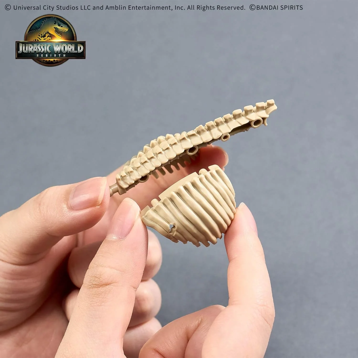 Bandai Hobby | Plannosaurus Jurassic World T. Rex Model Kit | Official Bandai Dinosaur Figure | Easy Snap‑Fit Assembly, No Glue or Paint Required - Image 4