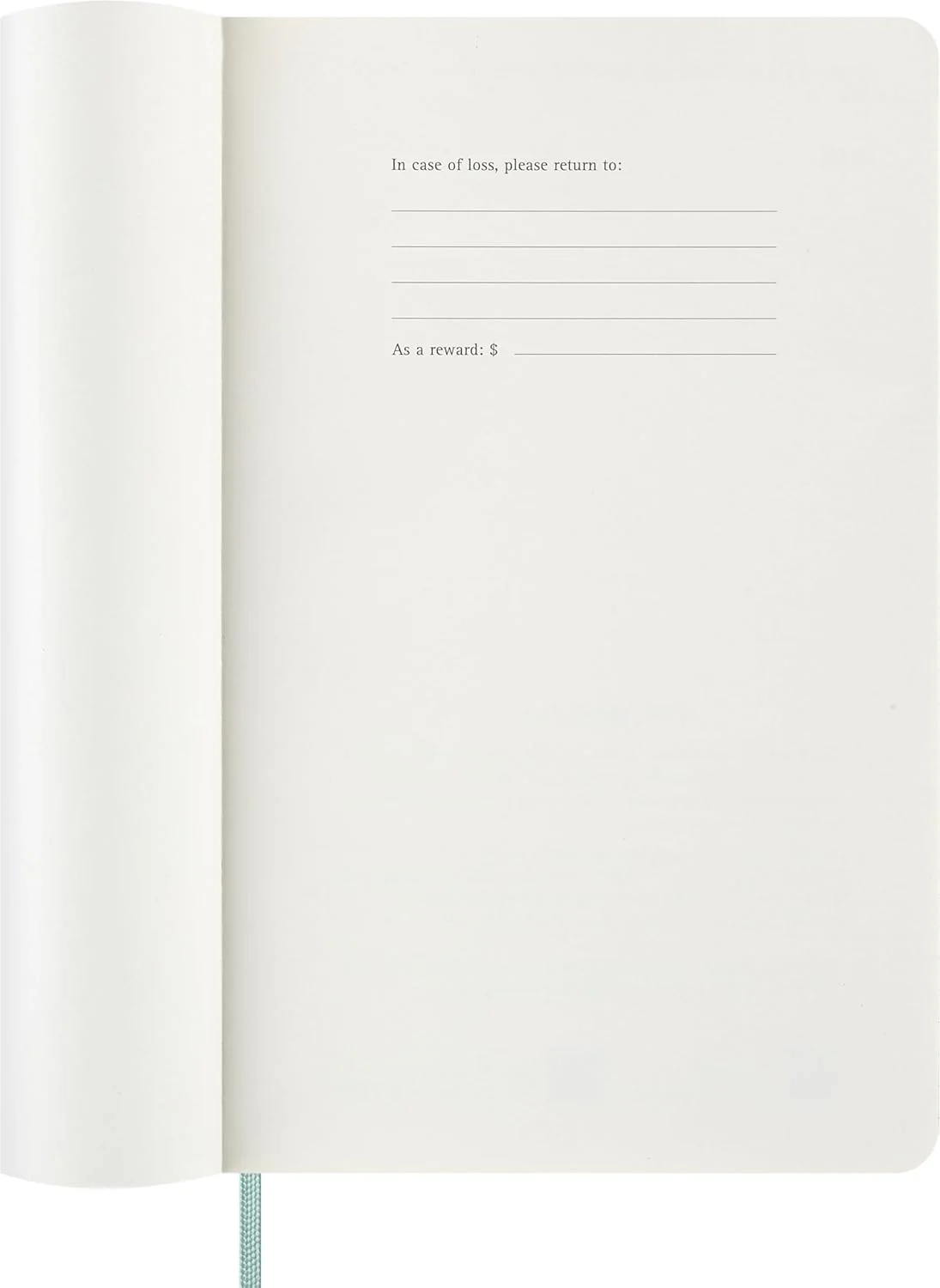 Moleskine Weekly Planner 2027, Vegan Soft Cover Precious and Ethical 12 Month Diary with Space for Notes, and Gift Box, Large 13x21 Cm, Sage Green - Image 3