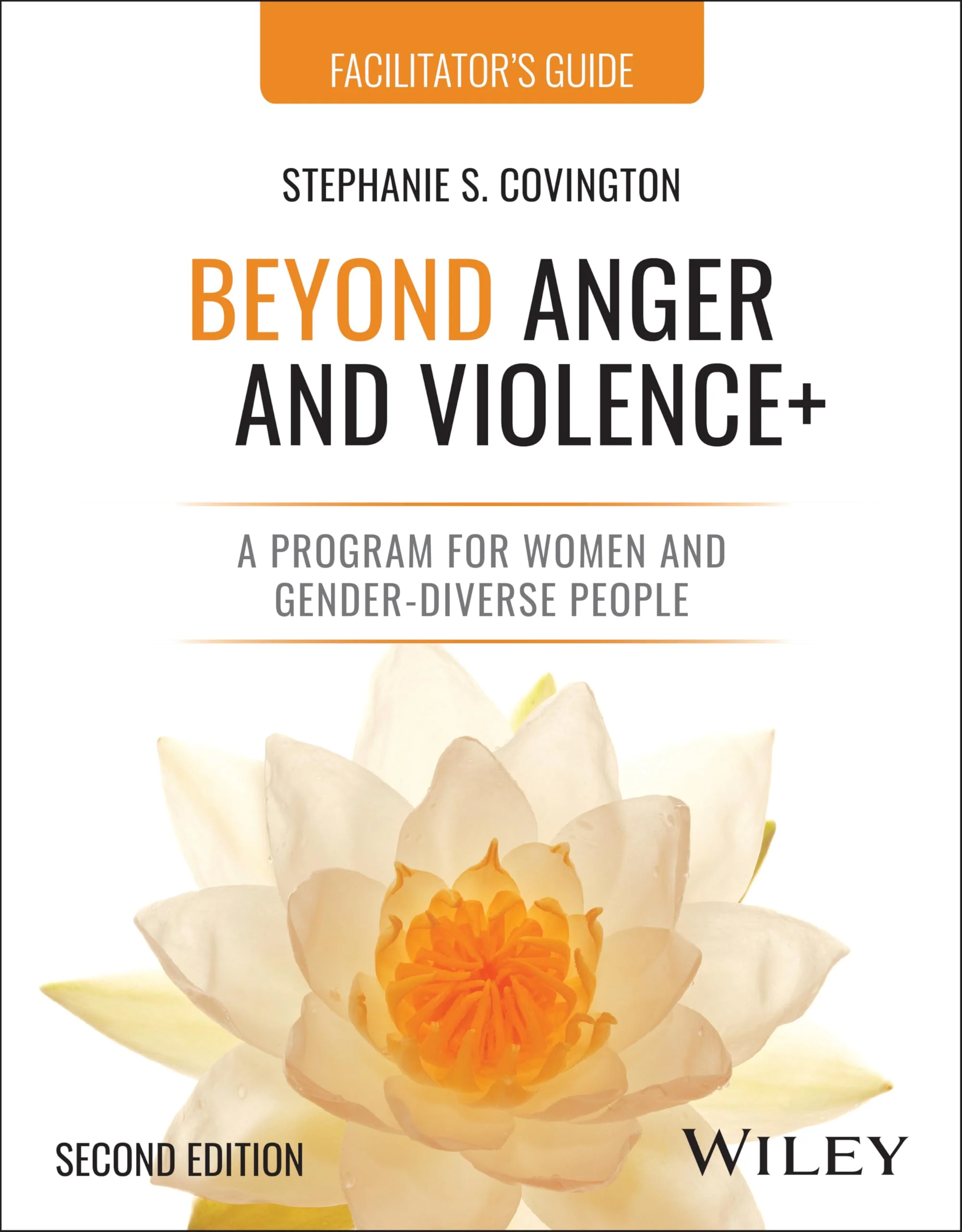Beyond Anger and Violence+: A Program for Women and Gender-Diverse People Facilitator's Guide