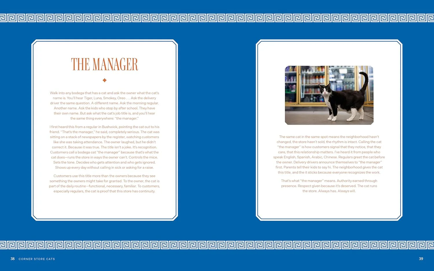 Bodega Cats of New York: Portraits and Stories from New York City's Working Cats - Image 3