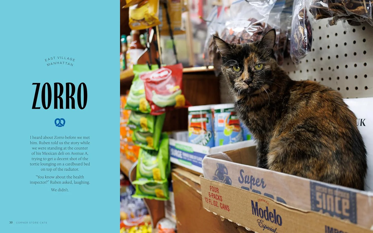 Bodega Cats of New York: Portraits and Stories from New York City's Working Cats - Image 4